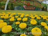 후기