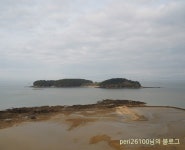 꽃게 검색 여기유