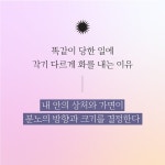 모든 상처는 흔적을 남긴다 | 리즈 부르보 | 앵글북스 - 예스24