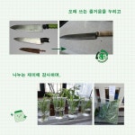 한겨레초록마을탄현점 | 이번 생은 초록빛 | 박경화 | 한겨레출판 - 예스24