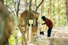 몽타뉴벨리원주지사 | 오크밸리 리조트 밸리빌리지 | 원주호텔 예약 · 가격비교 | 호텔패스