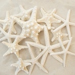 아마존 - 홈 & 주방 > Home Decor > Home Decor Accents > Ornaments 비드바이 - 해외 전문 경매대행 선두주자 아마존 - 홈...