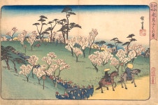 Asukayama Hanami. Drawing by Utagawa Hiroshige - Fine Art America Asukayama Hanami. by Utagawa Hiroshige