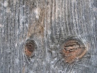 Free wood Stock Photo - FreeImages.com