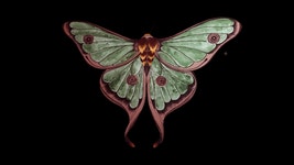 When a Moth Loved a Bee (Destini Chronicles, #1) by Pepper Winters | Goodreads When a Moth Loved a Bee (Destini Chronicles, #1)
