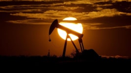 칸스전주 | World oil prices fall on hope OPEC will offset Russia output loss - Hindustan Times World oil prices fall on hope OPEC will...