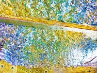 Cool digital | Saatchi Art
