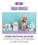 가을이네 강아지 마카롱 장난감 볼 3종세트