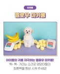 가을이네 강아지 마카롱 장난감 볼 3종세트