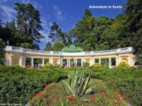 더보타니아 | Sochi is the largest resort in Russia. Located near the border with Georgia.From the north- west of the city is surrounded by...