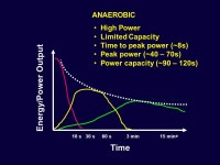 래피니언 | AEROBIC & GENERAL CONDITIONING CAST SPORT SCIENCE GROUP. - ppt download