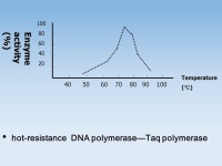 A story about Section 2. What is PCR? Polymerase Chain Reaction A method to synthesis specific DNA fragment in vitro. It is...