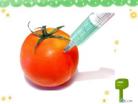 Words preview modify regulatory label molecular resistance drought v. 改动,更改 adj. 管制的 n. 标签 adj. 分子的 n. 抵抗力...