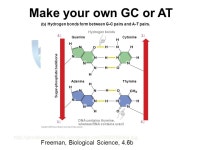 DNA and Coding. Instructions for the parts of living things DNA Why the instructions for you. - ppt download