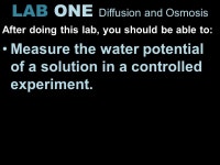 러브인셀덤 - 군산시 | LAB ONE Diffusion and Osmosis. Background Concepts: diffusion & osmosis selectively permeable membranes water potential molarity...