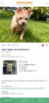 더쿠 - 포인핸드보는데 얘 졸귀임ㅋㅋㅋㅋㅋ큐ㅠㅠㅠ