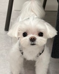 더쿠 - 230821 코코별🤍