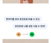 주식회사 네페코리아 | 더쿠 - 네페 펫키우기 하는 사람있어?