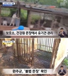 입양됐다고 처리된 유기견들 도살장 인근 뜬장에서 발견돼…입양해 간 사람은 건강원 주인??