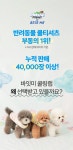 포코니멀랩 | 강아지 패션 > "여름 필수템" 포코리프렌즈 노터치 쿨링랩 (3colors) | 오늘의집 쇼핑 "여름 필수템" 포코리프렌즈 노터치 쿨링랩 (3colors)