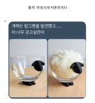 밥한그룻정두그릇 | 이슈/유머 - 개쩌는 밥그릇을 발견했고...