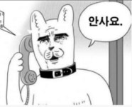 익스트림무비 - 결국 홈마까지 생겨버린 인기스타 유산슬군...