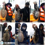 (여수베테랑피싱) 이번주 4만원 출조.자리많아요 인터넷바다낚시 - 대한민국 바다낚시 포탈사이트