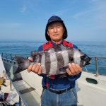 실시간 조황 - 진도 '복 사 초' 돌돔 찌낚시 여름 시즌 시작 !!
