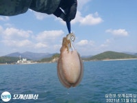 천지갑산슈퍼내 | 갑이가 갑질한네요!! 못 천지삐까리!!