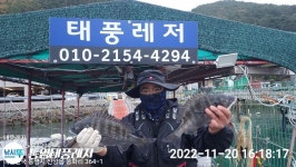 (南)남해조황 - 태풍레저 미역양식장