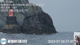 #구을비도(갯바위/선상)병행출조^^ 조황속보
