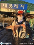 태풍레저 자체보유 미역양식장 감성돔조황