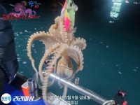 천사낙지주낙용품점 | 야간낙지화요일부터예약중@대낙퍽퍽올라옵니다