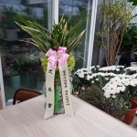 중매1228경원꽃집 | 충청남도당진시 꽃배달, 충청남도당진시 꽃집, 충청남도 당진시 남부로 123 꽃집, 채운동 203-1(채운동) 꽃집, 충청남도 당진시 남부로 123 꽃배달...