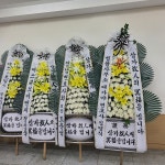 유송플라워;69플라워 | 경상남도양산시 꽃배달 · 꽃집 - 유송플라워 | 플라워119 경상남도양산시 꽃배달 - 유송플라워 | 플라워119