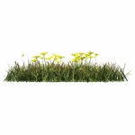 Garden bush green vegetation bushes | Premium Vector