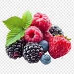 21 페이지 | 베리 PSD, 개 이상의 고품질 무료 PSD 템플릿 다운로드 가능 | Freepik