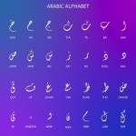 Maiz 작가 포트폴리오 | Freepik
