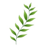 흰색 배경에 고립 된 벨 꽃의 벡터 밝은 그림. | 프리미엄 벡터
