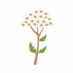 10 페이지 | 피침나무 벡터 - Freepik에서 무료 고품질 벡터를 다운로드하세요 | Freepik