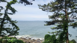 죽도 상화원 산책 - 사진 게시판 - 기글하드웨어
