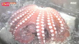 쫄깃쫄깃 문어숙회의 비밀 | 다시보기 | 이 맛에 산다; | 만나면 좋은 친구 MBC 226회 | 1. 강진 봉황마을에서 맞이한 휴가?! 2. 추억 속 국민...