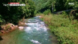 보양밥상현미김밥대백 | 1. 연 매출 10억! 마늘로 대박 난 특급 메뉴?! 2. 일 중독 떡볶이 아줌마의 힐링 여행 in 양양 3. 내 남편의 이유 있는 취미생활 4. 경북 김천시...