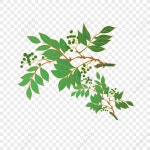 잔톡 실룸 지점 PNG 일러스트 무료 다운로드 - Lovepik 잔톡 실룸 지점