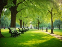 Photo Park(포토박) | Free Photo Beautiful Green Park 사진 무료 다운로드 - Lovepik Free Photo Beautiful Green Park