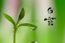 스물 네 계절은 이슬 배경 사진 및 창의적인 일러스트 무료 다운로드 - Lovepik 스물 네 계절은 이슬