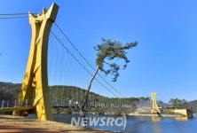 Foto aus Naver-Suchergebnissen 5
