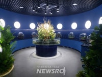 삼척 민물고기 전시관, 현대화로 새롭게 단장! | 뉴스로