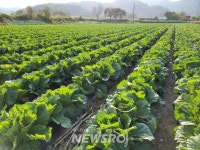 조은기술단주 | 괴산군 농업기술센터, 농업회사법인 조은종묘㈜와 업무협약 체결 | 뉴스로