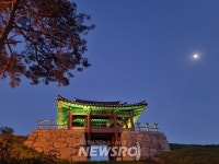 Ảnh kết quả tìm kiếm Naver 1